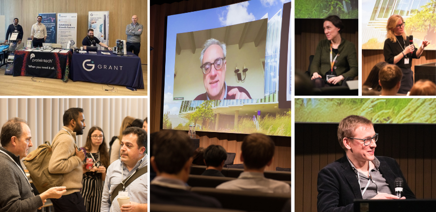 SCI-TIF Event photo collage