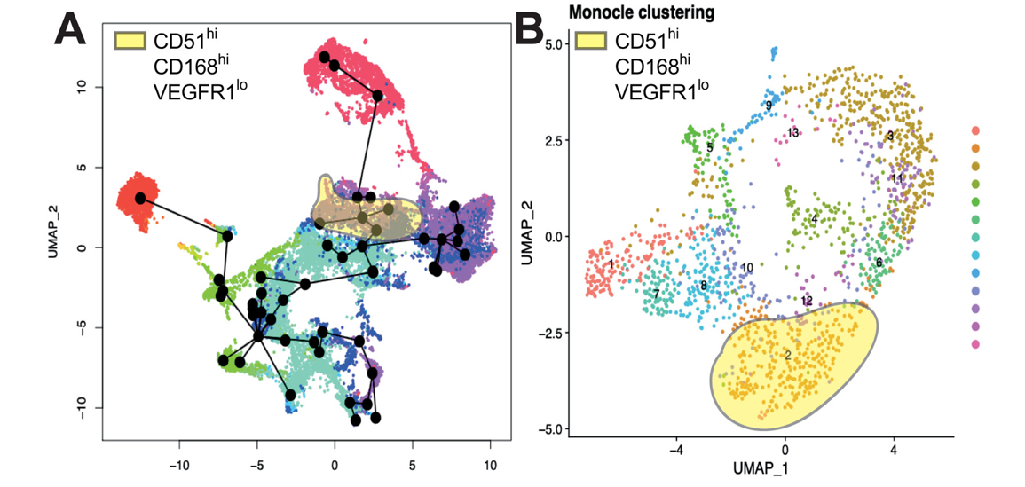 Figure 5 from Lawrence paper