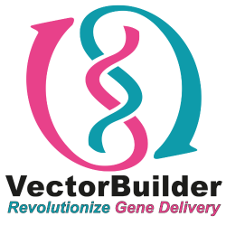 Vector builder logo