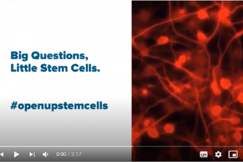 openupstemcells