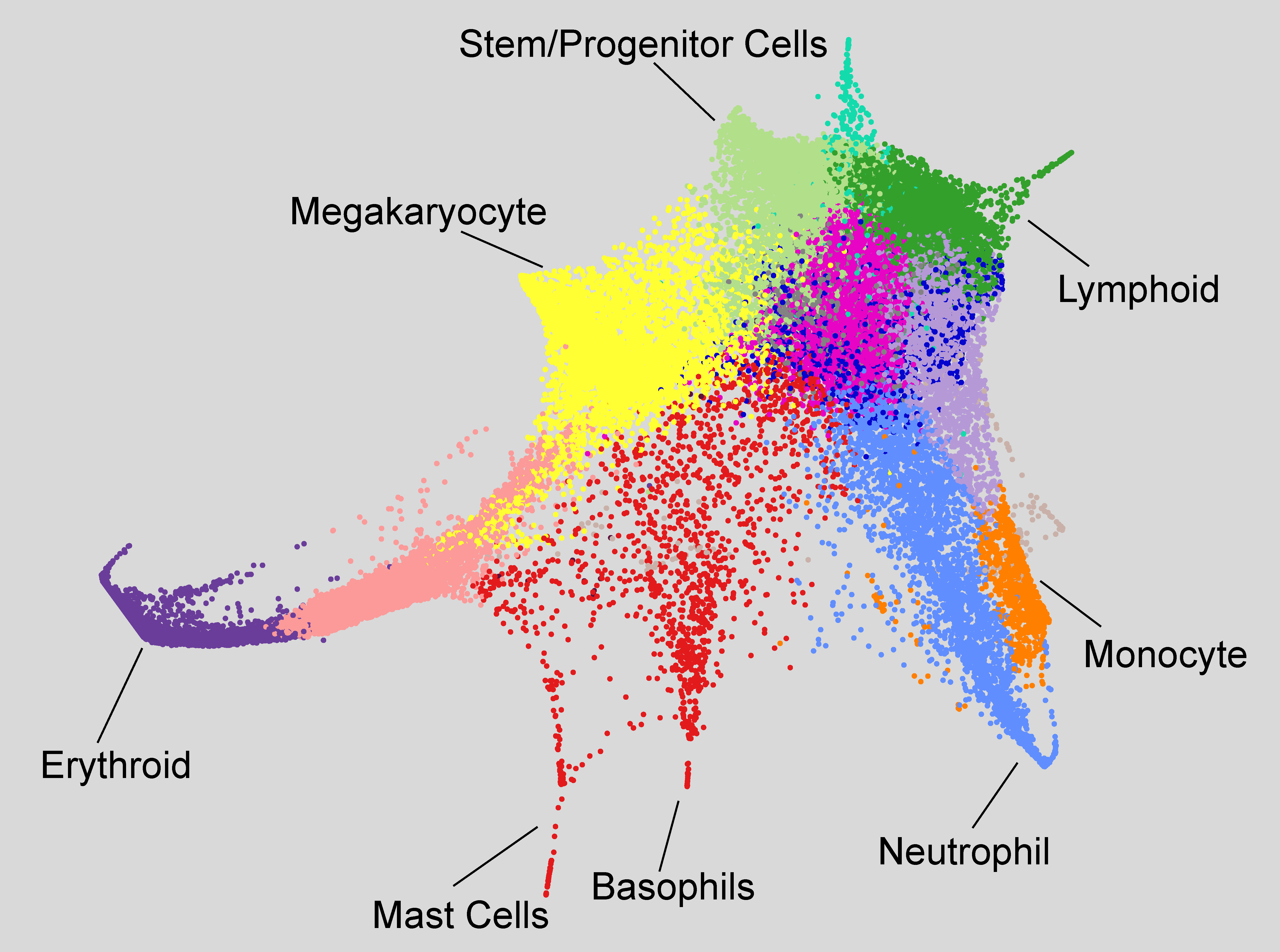 Gottgens research 2018