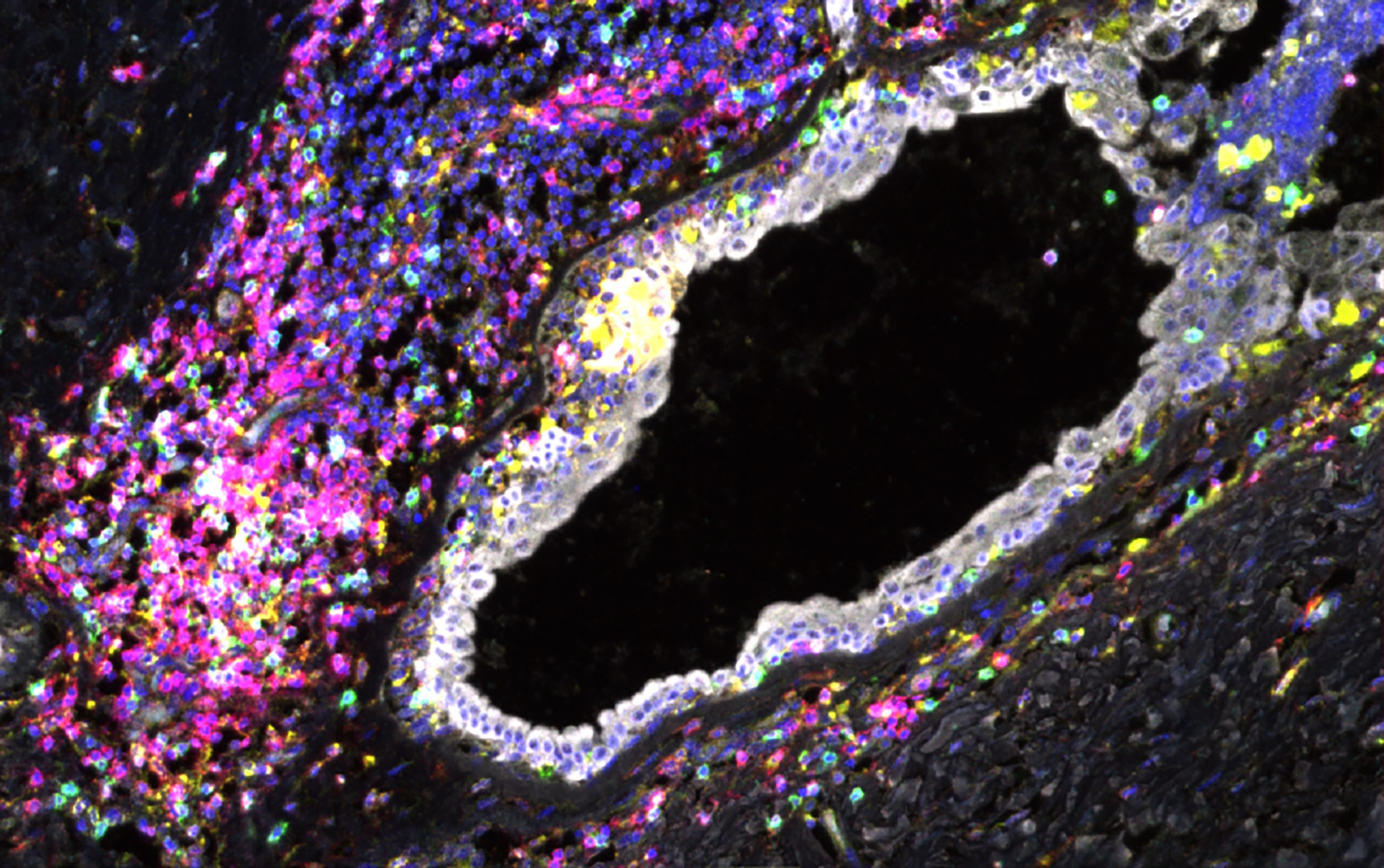 Khaled lab image