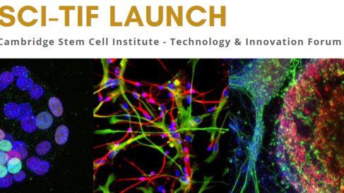 SCI-TIF banner