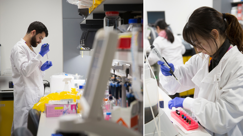 Researchers in the lab at CSCI 