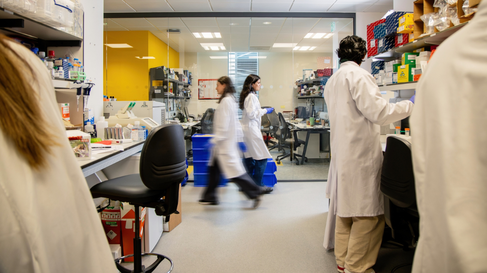 People walking in lab bays 