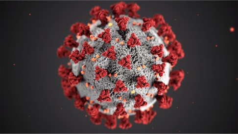 Coronavirus image. Credit: CDC