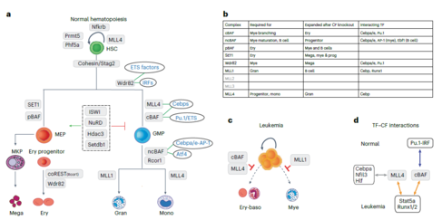 Figure 7 from Nature Genetics Paper 2023