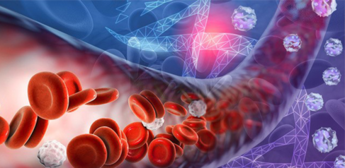 Expanding populations of blood cells. Credit Karen Arnott EMBL-EBI