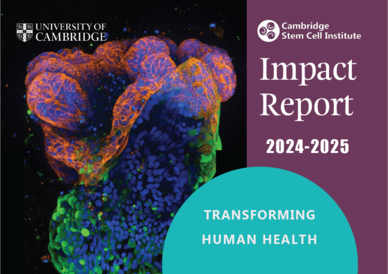 Front page of report 