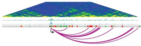 Genome rewiring during neural cell development