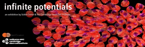 International Stem Cell Art Exhibition Comes to Cambridge