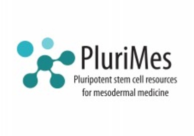 PluriMes project launched