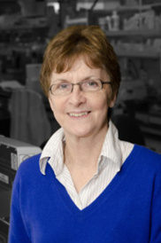 Janet Rossant awarded honorary degree