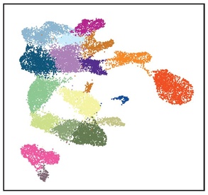 Uncovering the regulatory blueprint for early mammalian organ formation