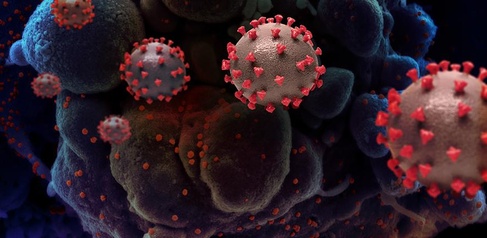 Visualisation of SARS-CoV-2 virus.