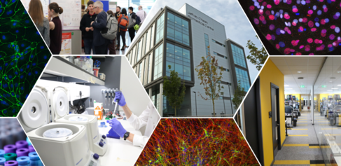 Collage of facilities and science photos