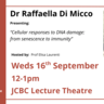 Raffaella Di Micco