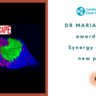 Banner for ERC announcement