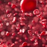 Blood cells. Credit Anirudh 