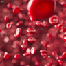 Blood cells