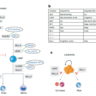 Figure 7 from Nature Genetics Paper 2023