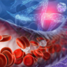 Expanding populations of blood cells. Credit Karen Arnott EMBL-EBI