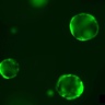 Cambridge discovery paves the way for new diabetes treatment options
