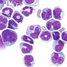Cambridge scientists granted over £500,000 to search for new cancer treatments