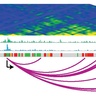 Genome rewiring during neural cell development