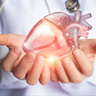 New stem cell combination could help to repair damaged hearts