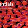 International Stem Cell Art Exhibition Comes to Cambridge