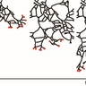 Scientists reveal the beautiful simplicity underlying branching patterns 