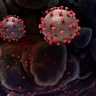 Visualisation of SARS-CoV-2 virus.