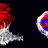 Image of tumour development 