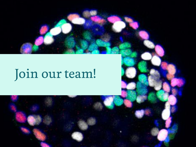 Microscopy image with words, 'Join our team' 