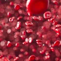 Blood cells. Credit Anirudh 