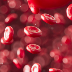 Blood cells
