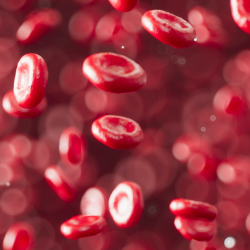 Blood cells