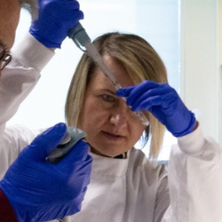 Researchers in lab