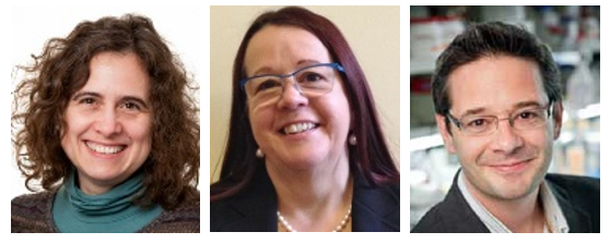 Elections to the Academy of Medical Sciences and the Royal Society