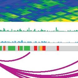 Genome rewiring during neural cell development