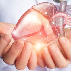 New stem cell combination could help to repair damaged hearts