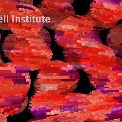 International Stem Cell Art Exhibition Comes to Cambridge