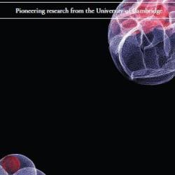 Research Horizons - Spotlight on Stem Cells