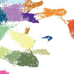 Uncovering the regulatory blueprint for early mammalian organ formation