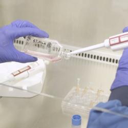 Removing a small cell sample during clinical trials