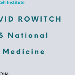 Rowitch press release banner
