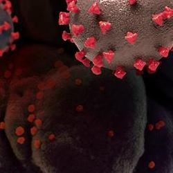 Visualisation of SARS-CoV-2 virus.