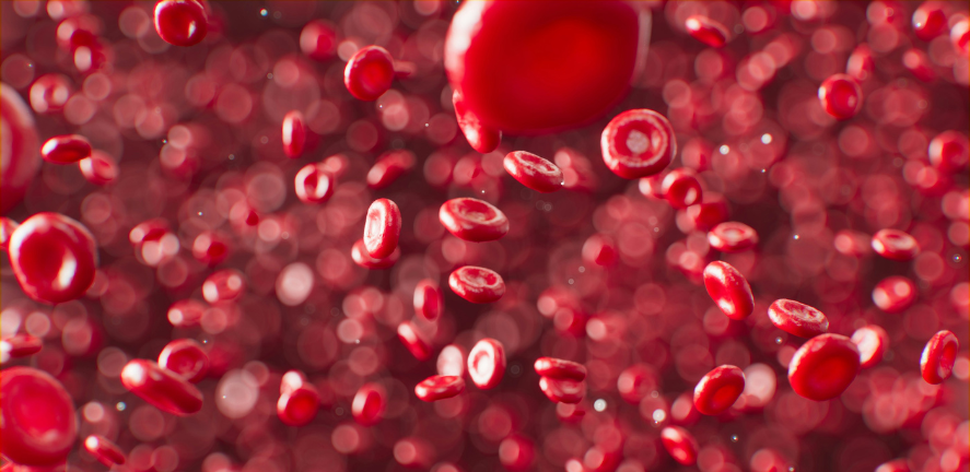 Blood cells Blood cells