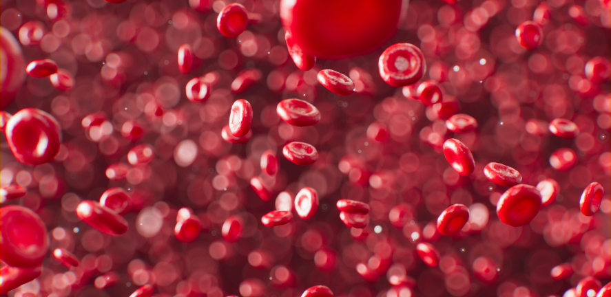 Blood cells Blood cells